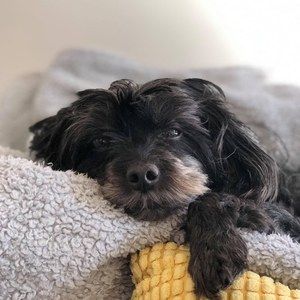 Meet your Posher, Patricia